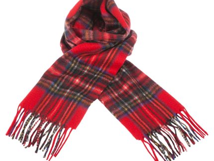 Edinburgh Cashmere Scarf  Stewart Royal