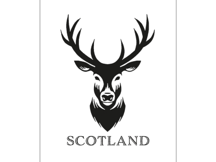 Scottish Tea Towels – 100% Cotton | Coo, Nessie, Stag, Map & More (45x70cm)